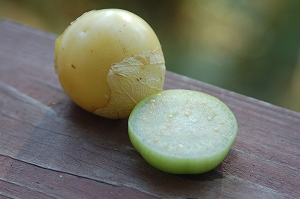 tomatillo3