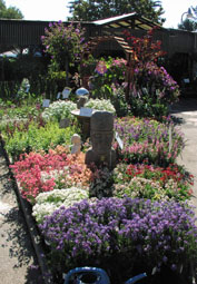 GardenCenter