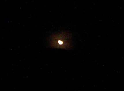 夜の目？