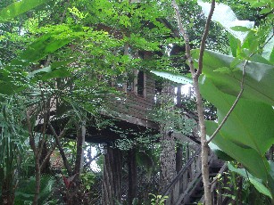 treehouse3.JPG