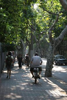 路.JPG