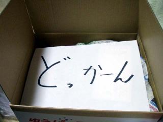 どっか～ん！