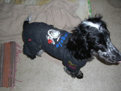 コナンの新しい服1