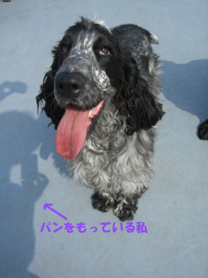 パンを持っている私