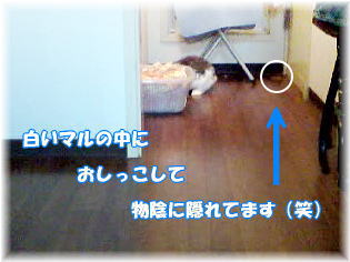 2006/12/17
