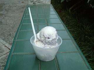 Blueberry Cheesecake Ice