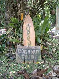 Coconut Candy4
