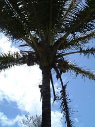 keanae3