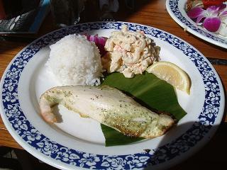 Fish Plate