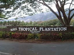 マウイトロピカルプランテーション
