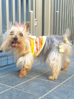 2010/05/08　お誕生日プレゼント・４