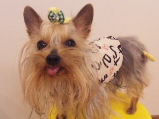 2010/03/16　カービング・２