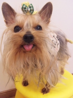 2010/03/16　カービング・７