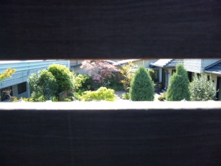 2010/04/24　陽気（ヨーキー）な時間・４