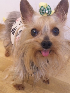 2010/03/16　カービング・10