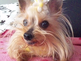 2010/04/18　ごろごろ日曜日・２