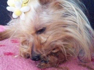 2010/04/18　ごろごろ日曜日・３