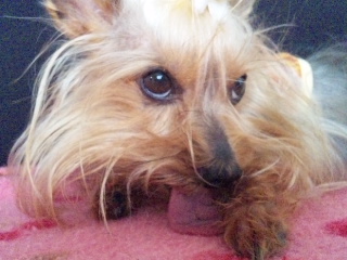 2010/04/18　ごろごろ日曜日・４