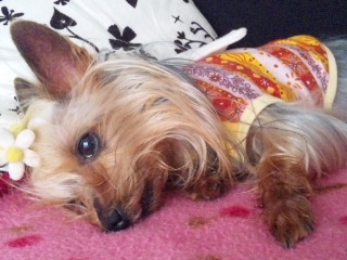 2010/04/18　ごろごろ日曜日・５