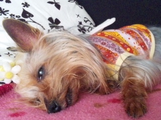 2010/04/18　ごろごろ日曜日・６