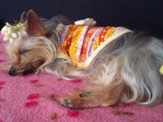 2010/04/18　ごろごろ日曜日・７