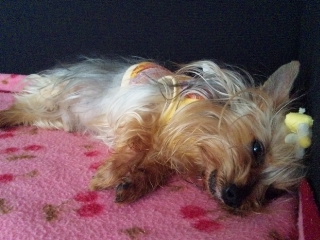 2010/04/18　ごろごろ日曜日・８