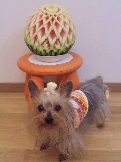 2010/04/21　カービング・２