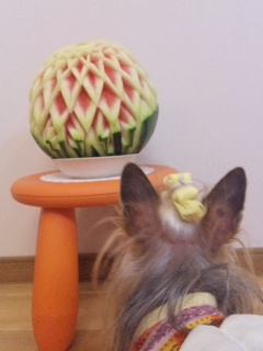 2010/04/21　カービング・７