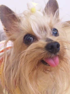 2010/04/21　カービング・８