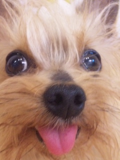 2010/04/21　カービング・９