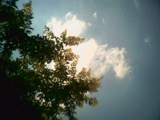 sky.jpg