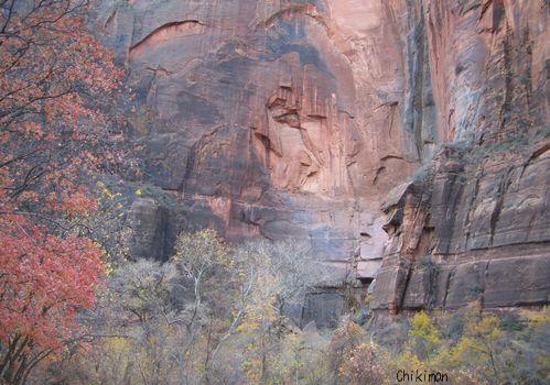 zions national park4