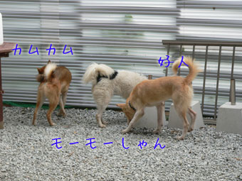 20110703m.jpg