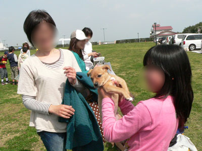 20110209p.jpg