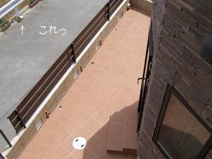 しん