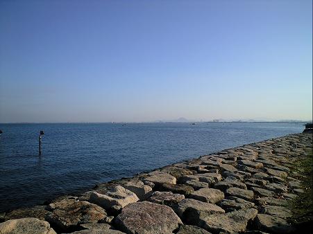 １２．２ biwa.JPG