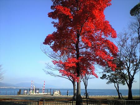 １２．２ びわこ.JPG