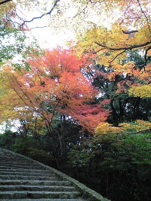 亀山公園２.JPG