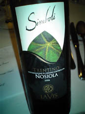 Nosiola Torentino Simboli '06 La Vis