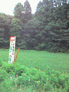 水田です