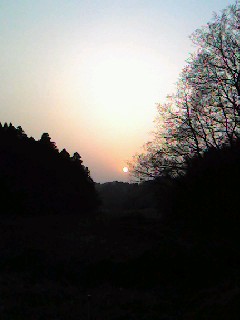 帰りの夕日