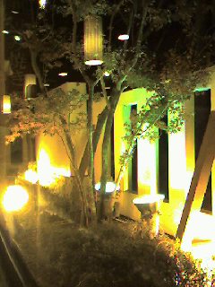 ココスの夜景