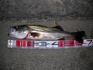 DSCN1069.JPG