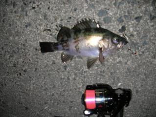 DSCN1070.JPG