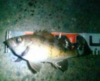 200703192302.jpg