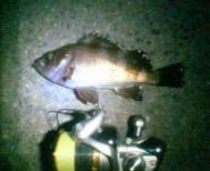200703192252.jpg