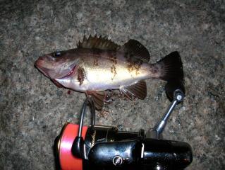 DSCN1078.JPG