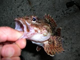 DSCN1083.JPG