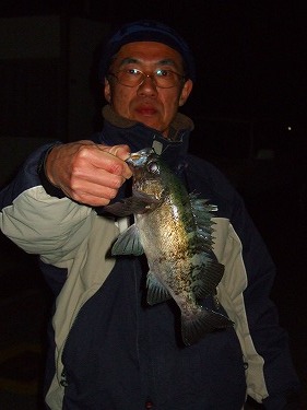 2007_03230017.jpg