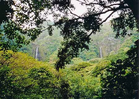 ハラワ・ヴァレーにあるMoa'ula Falls（モアウラ滝）とHipuapua Falls（ヒプアプア滝）。